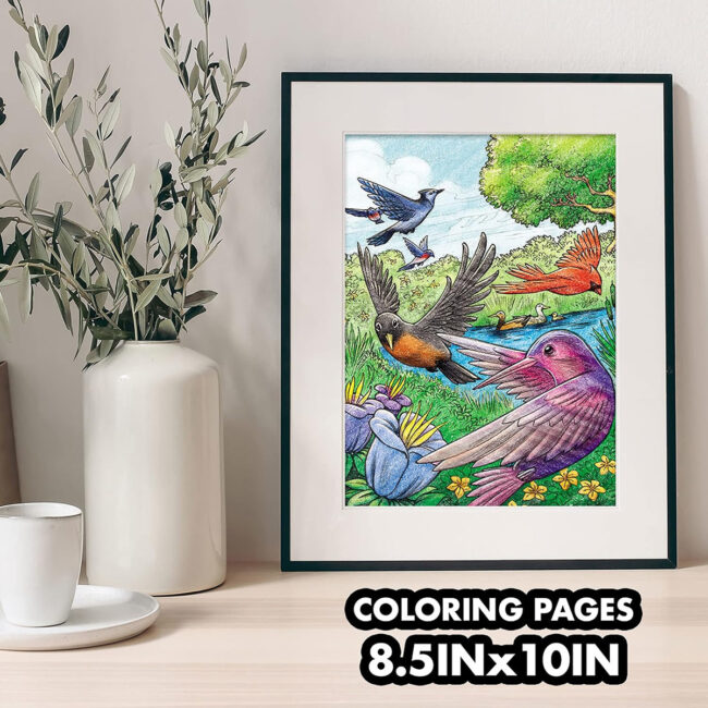 PLS-CY04-1133-02 CRAYOLA 40Page Coloring Book Bird Watching in UAE - view 2