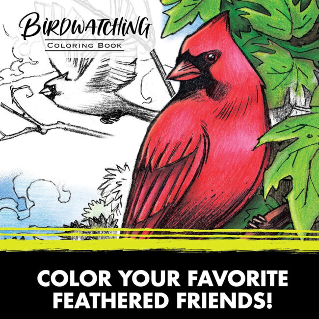 PLS-CY04-1133-03 CRAYOLA 40Page Coloring Book Bird Watching in UAE - view 3