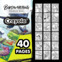 CRAYOLA 40Page Coloring Book Bird Watching in UAE - view 4