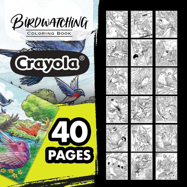 PLS-CY04-1133-04 CRAYOLA 40Page Coloring Book Bird Watching in UAE - view 4