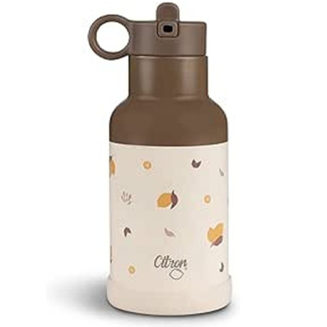 Citron SS Water Bottle 350ml Lemon in UAE