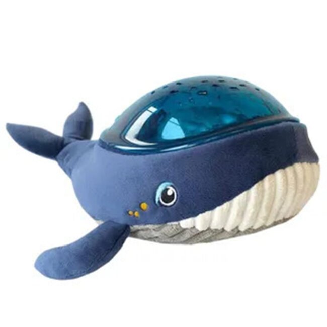 MR-AAQ01-WHALE-01 MR-AAQ01-WHALE-01