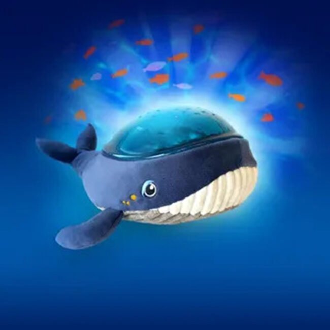MR-AAQ01-WHALE-03 MR-AAQ01-WHALE-03