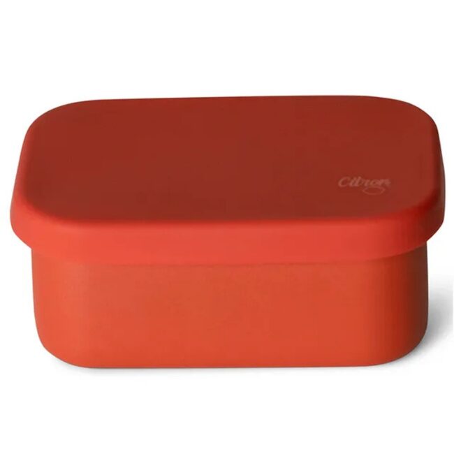 Citron Mini Stainless Steel Snackbox Brick in UAE - view 4