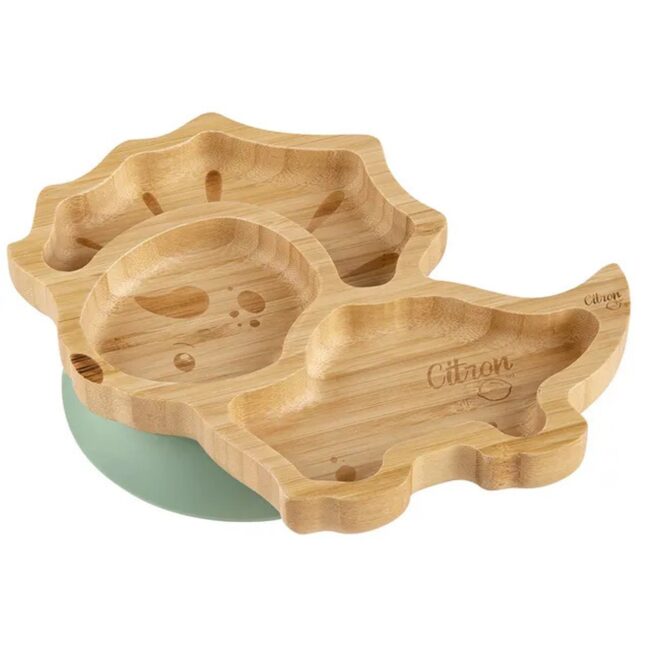MR-C6297001073537-02 Citron Organic Bamboo Plate Suction Spoon Dino Pastel Green in UAE - view 4