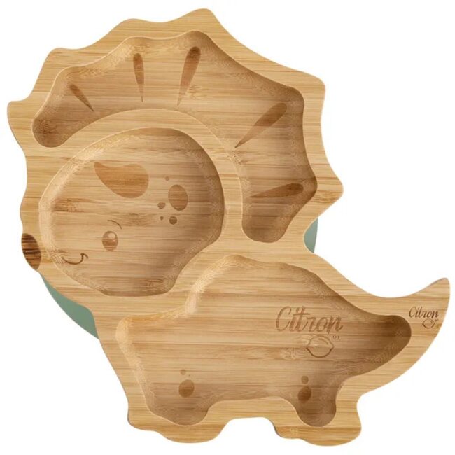 MR-C6297001073537-03 Citron Organic Bamboo Plate Suction Spoon Dino Pastel Green in UAE