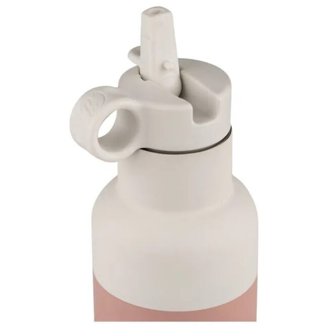MR-C6297001196335-04 Citron SS Water Bottle 500ml Blush Pink in UAE - view 3