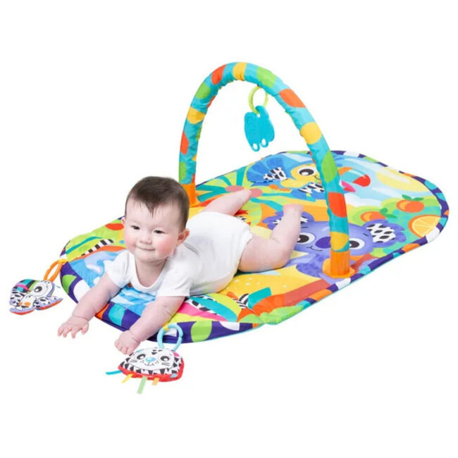 TRC-PG0189024-05 Playgro Cozy Oasis Tummy Time Playmat in UAE - view 5