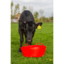 Red Gorilla Gorilla Tubs Recycled Black Tubs Small Shallow 15L Red in UAE - view 5