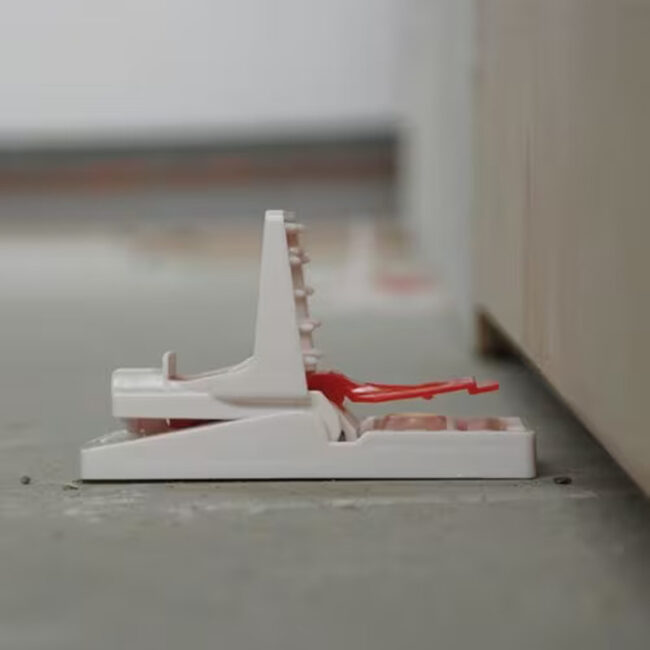 STV ReadyBaited Mouse Trap Twinpack in UAE - view 3