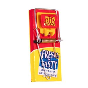 STV Fresh Baited Mouse Trap