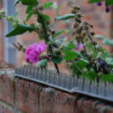 STV Prickle Strip Garden Fence Topper 45cm in UAE - view 3