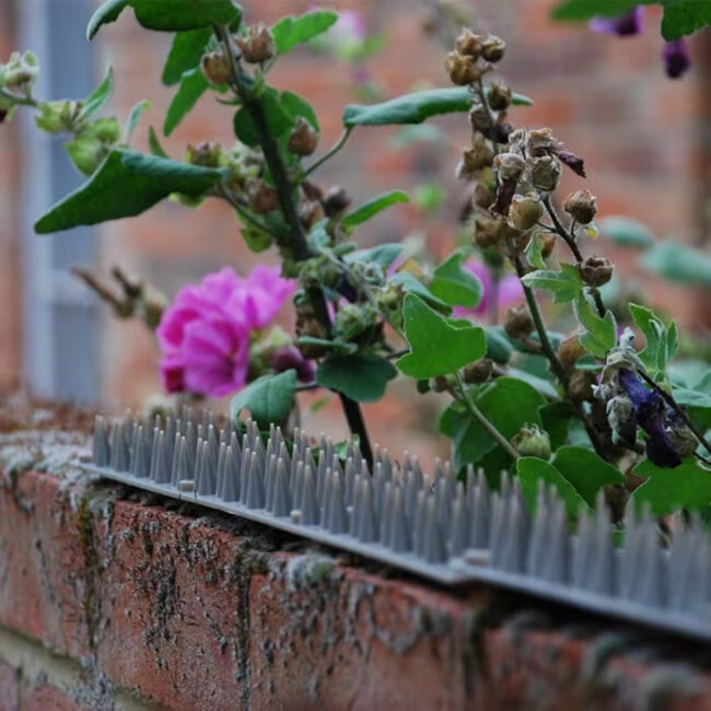 STV908_3 STV Prickle Strip Garden Fence Topper 45cm in UAE - view 3
