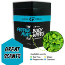 Klean Freak Body Wipes The Jug Peppermint in UAE - view 3