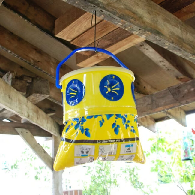STV ReadyBaited Ultimate Outdoor Fly Trap in UAE - view 4