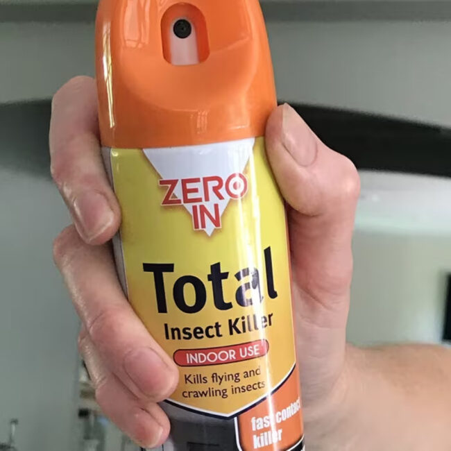 STV Total Insect Killer 300ml Aerosol in UAE - view 3