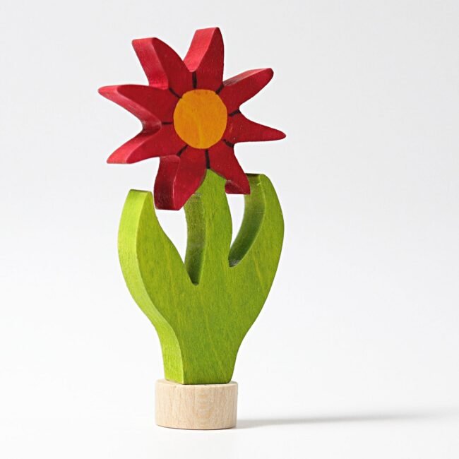 04224_aster