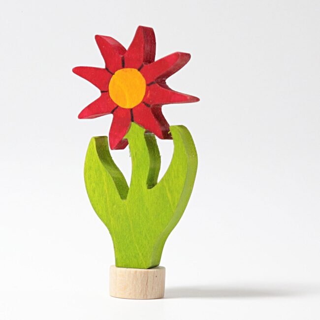 04224_aster_v1
