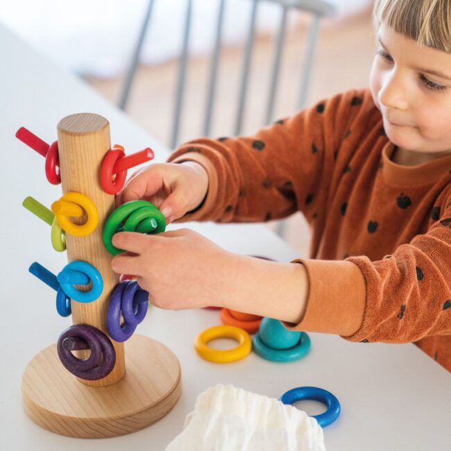 10162_Sortierhilfe_Regenbogen_v5 Sorting Helper Building Rings Rainbow in UAE - view 2