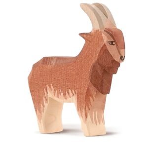 Goat Male