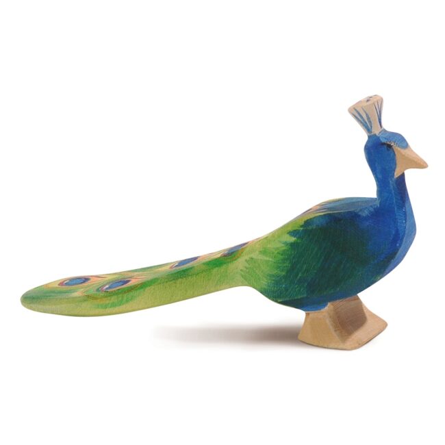11844 Pfau Peacock in UAE