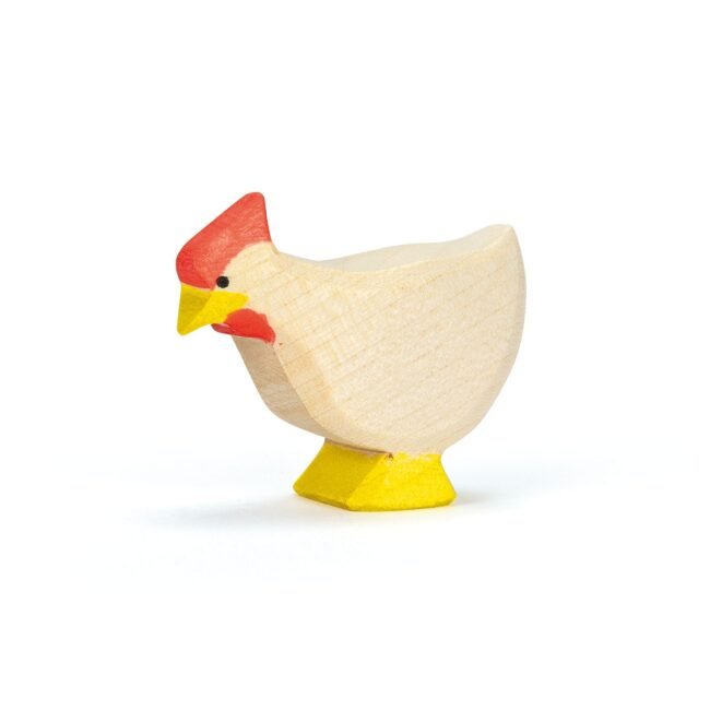 Hen white standing in UAE