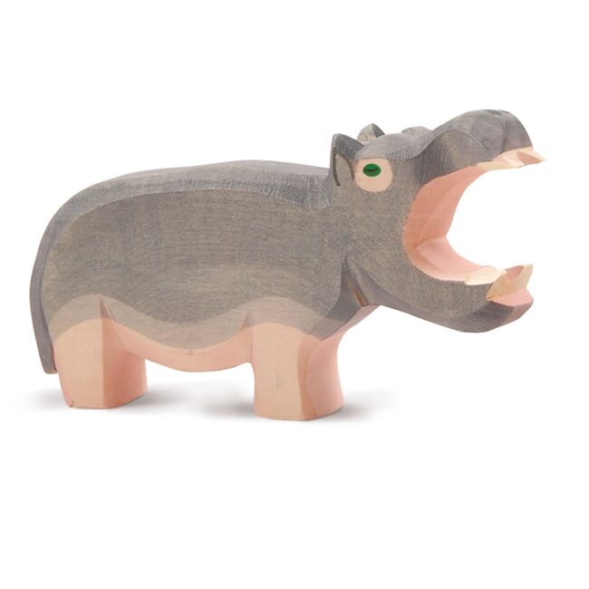 Hippopotamus Open Mouth in UAE
