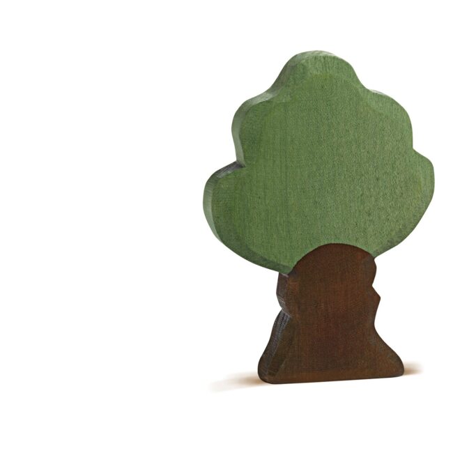 30003 Eiche Oak in UAE