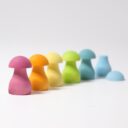 Pastel Mushrooms in UAE - view 2