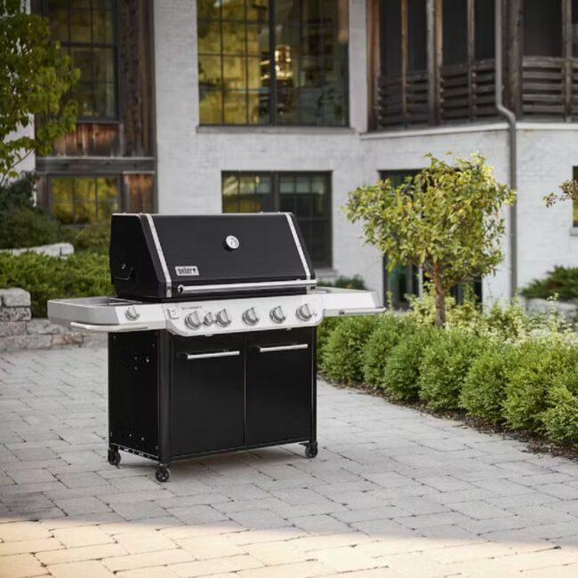 Capture.2 Weber Summit FS38 E Gas Grill 1500104 in UAE - view 2