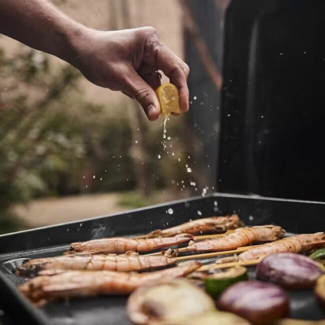 EMEA_TRAVELER_GRIDDLE_43CM_FOOD_1094_1800x1800