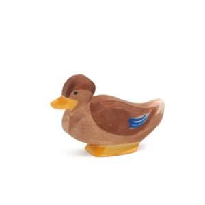 Duck sitting