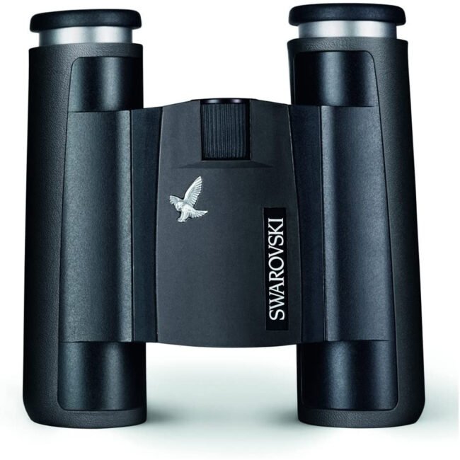 swk-202-01