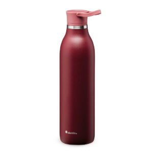 Aladdin 06L Cityloop Thermvac Btl Brgndy Red