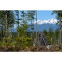 TREDPROMGO_woods_mountains-19
