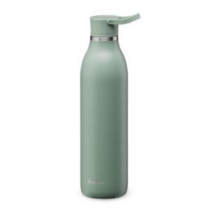 Aladdin 06L Cityloop Thermvac Btl Sage Green