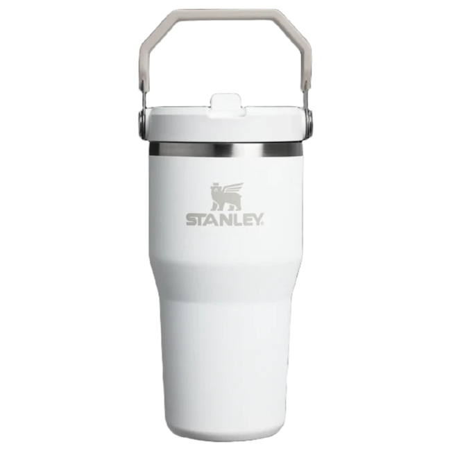 Stanley Ice Flow GO 590ml20oz Flip Straw Wtr Btl Frost in UAE