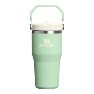 Stanley Ice Flow GO 590ml20oz Flip Straw Wtr Btl Pistachio