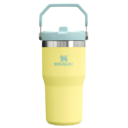 B2B_Web_PNG-TheIceFlowTMFlipStrawTumbler20OZ-Pomelo-Front_1_