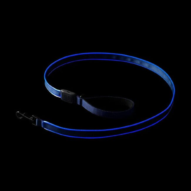 NDLR-03-R3.4 Nite Ize Pet NiteDog Recharg LED Leash Blue in UAE - view 2