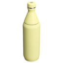 Web_PNG_Square-AllDaySlimBottle20OZ-PomeloGloss-HeroBack