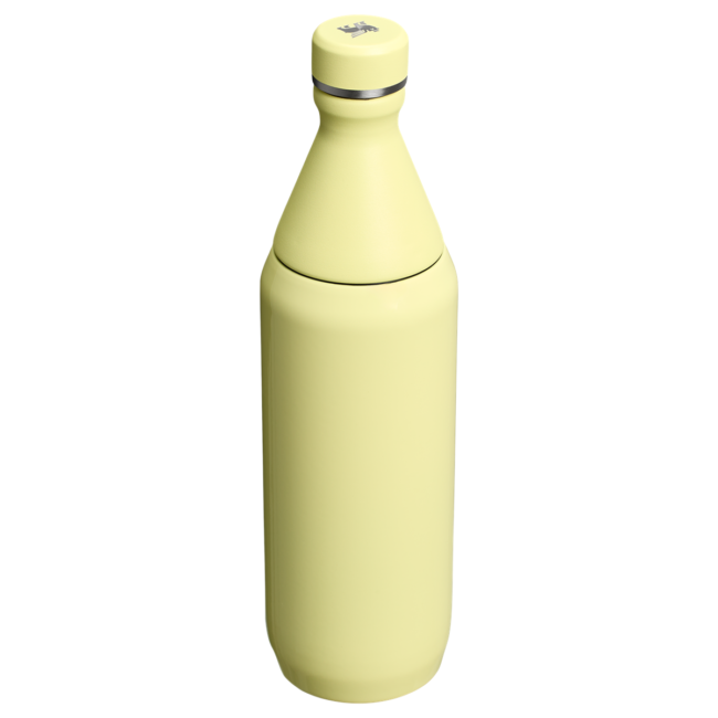 Web_PNG_Square-AllDaySlimBottle20OZ-PomeloGloss-HeroBack