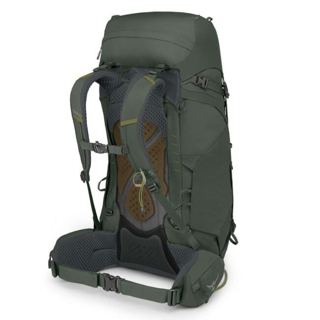 kestrel48l_s23_sideback_bonsaigreen