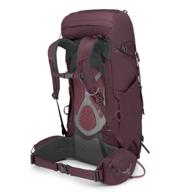 kyte38l_s23_sideback_elderberry