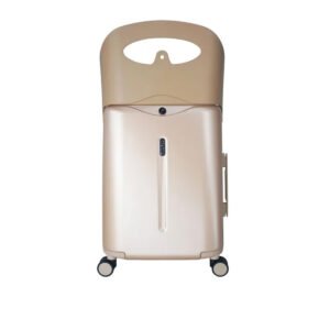 Miamily Carry-On Luggage Trolley Bag - Metallic Gold - 18-inch