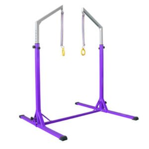 Dawson Sports DS Kids Ring Frame Set - Purple