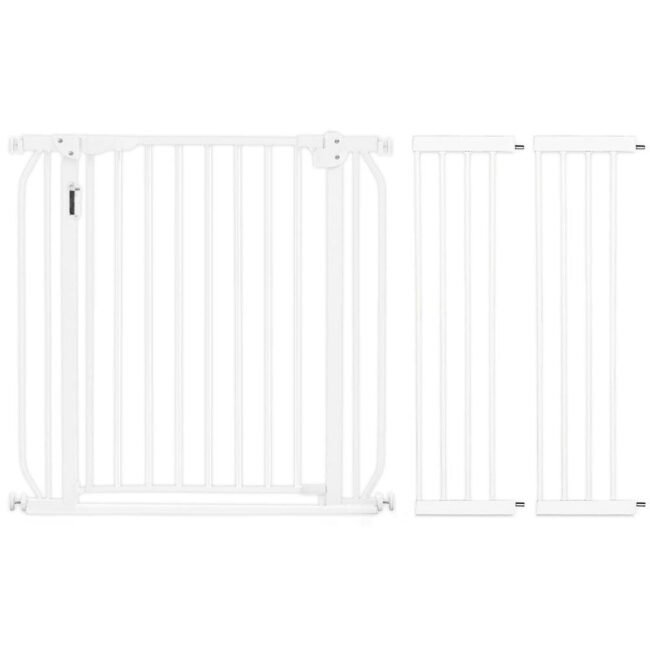 SAB-BS_CM_LMG20WH2-01.jpg SAB-BS_CM_LMG20WH2-01.jpg