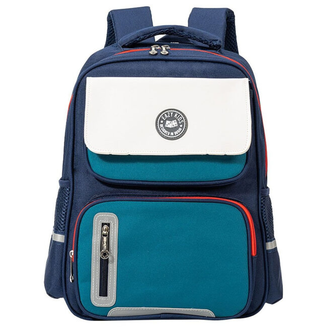 Eazy Kids Eazy Kids – Ergonomic School Bag – 16-Inch – Blue in UAE