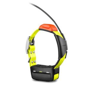 Garmin T 5 Dog Tracking Device in UAE