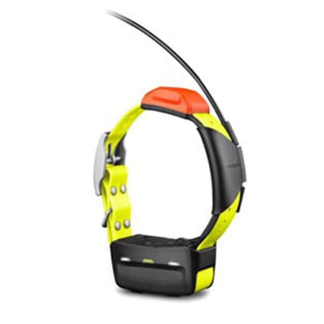 Garmin T 5 Dog Tracking Device in UAE
